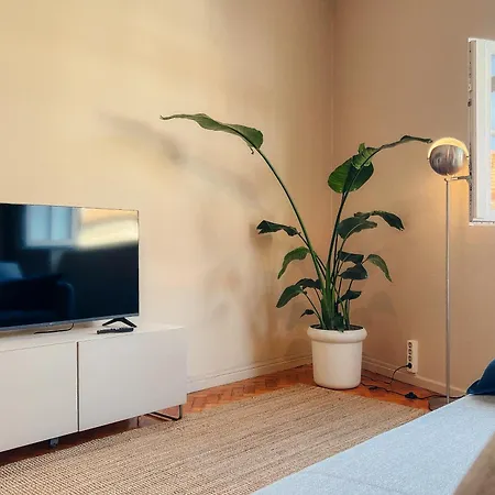 Altus 68 - River View, Floor With Elevator * פורטו